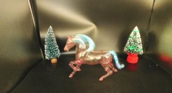 shera horse blue side